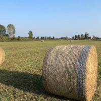 fieno primo taglio 2025 in rotoballe
