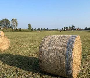 fieno primo taglio 2025 in rotoballe
