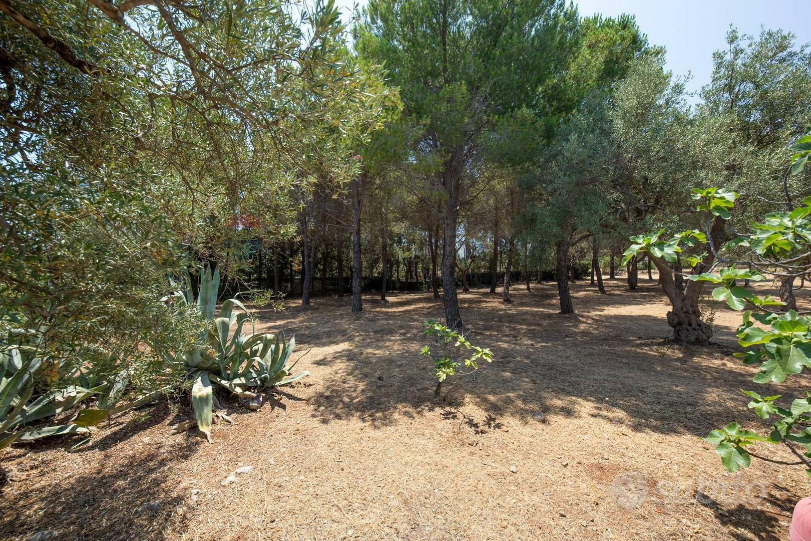 Villa singola - Noto - Altro