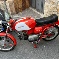 Aermacchi harley davidson ala verde 250