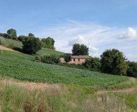 V003686 OSIMO CASENUOVE