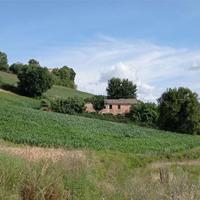 V003686 OSIMO CASENUOVE