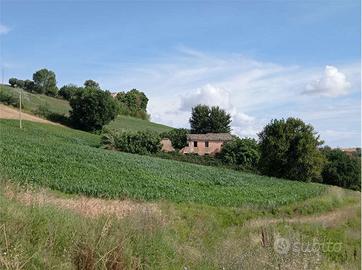 V003686 OSIMO CASENUOVE