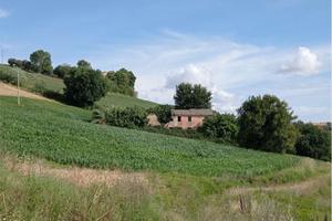 V003686 OSIMO CASENUOVE