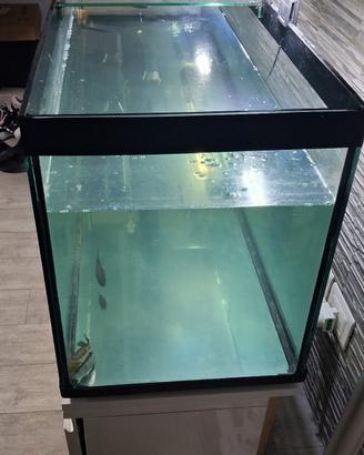 Acquario 