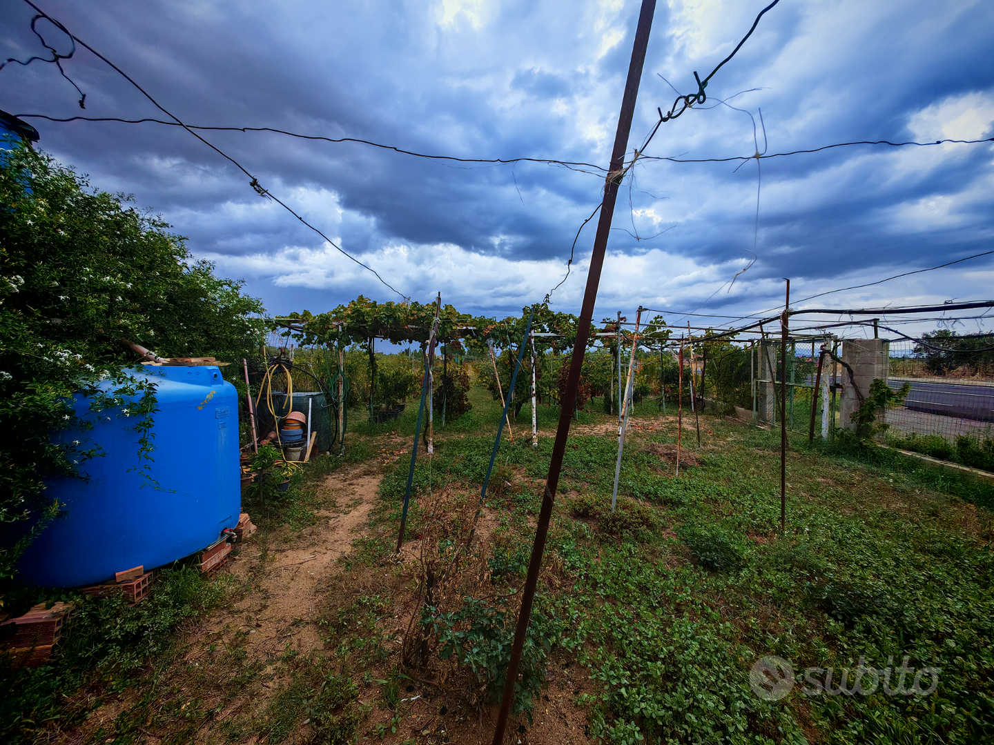 Terreno+vigneto+casa con pozzo e corrente - Vista 2