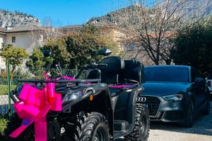 CFMOTO CFORCE 450 L – Passo Lungo – 2021