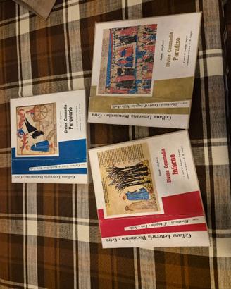 Collana Divina commedia di Dante Alighieri 33 giri