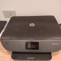stampante hp