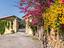 Immagine 10