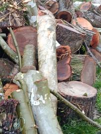 legna da ardere platano e olmo 