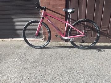 bicicletta donna