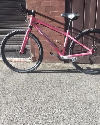 bicicletta donna