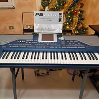 Tastiera arranger professionale Korg PA 800