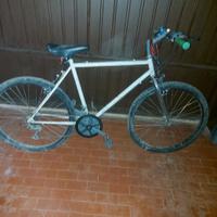 biccicleta da uomo