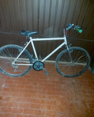 biccicleta da uomo