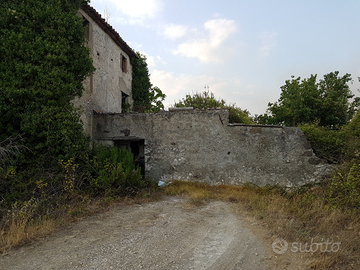 Uliveto su terreno agricolo con rudere da ricostru