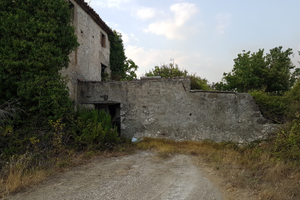Uliveto su terreno agricolo con rudere da ricostru