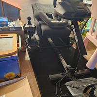 sedile Playseat + Logitech G29 con cambio