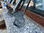 Immagine 5