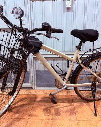 Bicicletta da passeggio 26