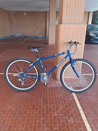 bicicletta mtb bianchi