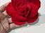 Immagine 5