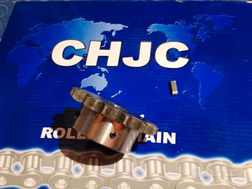 trasmissione pignone e 5 metri catena 