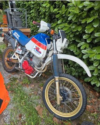 Honda Xl 600 LM del 1991