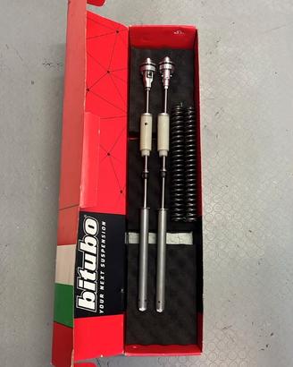 cartucce e molle forcelle Aprilia Rs 660 originali