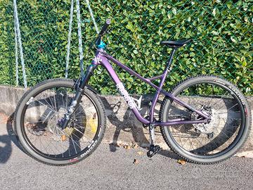 MTB Dabomb sentinel 29