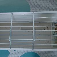 Trasportino per pappagalli 