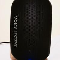 CASSA VOICE SYSTEMS THEATRE 120W RMS ATTIVA