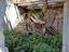 Immagine 9