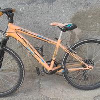 Mtb bambino