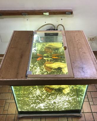 acquario 350lt tavolo 4 posti completo