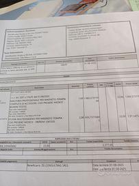 Macchina professionale per magnetoterapia