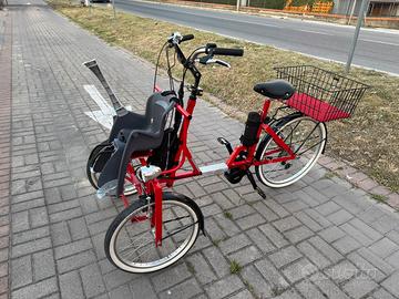 Bicicletta elettrica