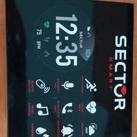 smartwatch sector 