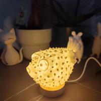 lampada pesce-palla