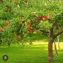 Offesi Aiuto azienda agricola, e bambini