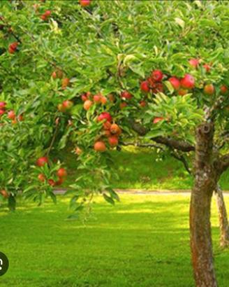 Offesi Aiuto azienda agricola, e bambini