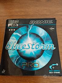 Donic Bluestorm PRO Black Max