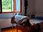 Immagine 14