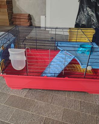 gabbia per porcellini d'india/ conigli