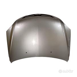 COFANO ANTERIORE KIA Sorento 1Â° Serie 664003E310