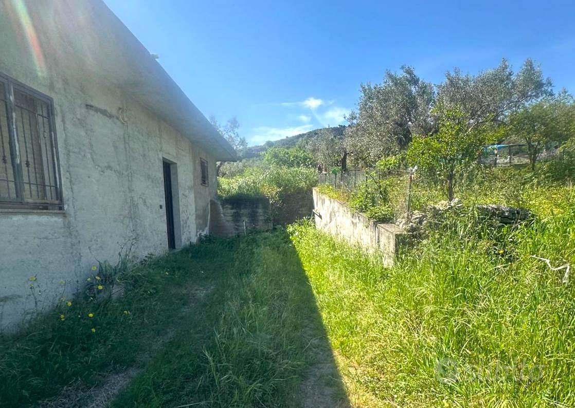 Rif.RI34| terreno agricolo borgia - Vista 3