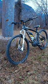 bici elettrica 