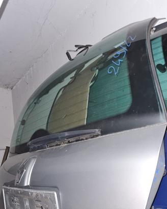 Portellone nudo RENAULT CLIO del 2006
