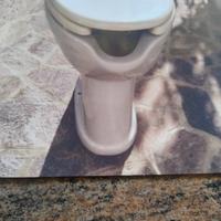 sanitario per disabili 